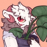 bookbin's Avatar